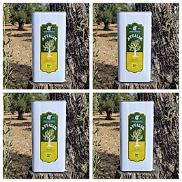 2025-2026 Yeni Sezon İlk Hasat Zeytinyağı 5lt. x4 Teneke