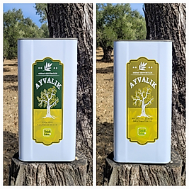 2025-2026 İlk Hasat & Olgun Hasat Zeytinyağı 5lt. X2