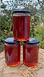 Kestane Balı 850gr-900gr