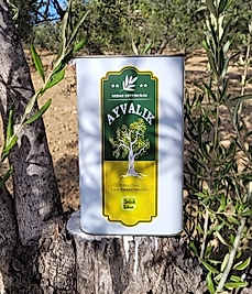 2025-2026 Yeni Sezon İlk Hasat Zeytinyağı 3lt.