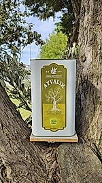 Olgun Hasat Zeytinyağı 3lt.