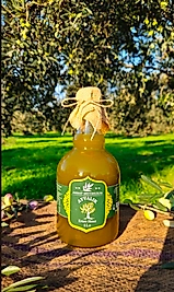 2025-2026 Yeni Sezon İlk Hasat Zeytinyağı 1lt. (Galon Şişe)