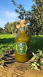 2025-2026 Yeni Sezon İlk Hasat Zeytinyağı 3lt. (Cam Şişe)