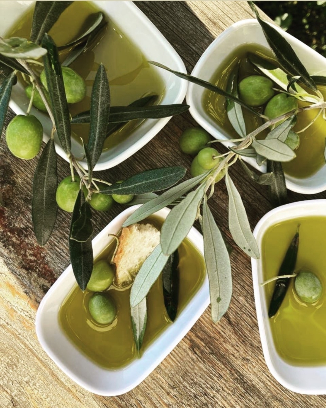 Erken Hasat Zeytinyağı